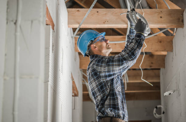 Best Electric Panel Repair  in Timber Pines, FL